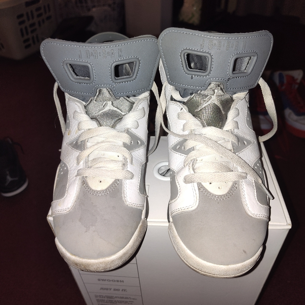 Jordan 6 Cool Grey